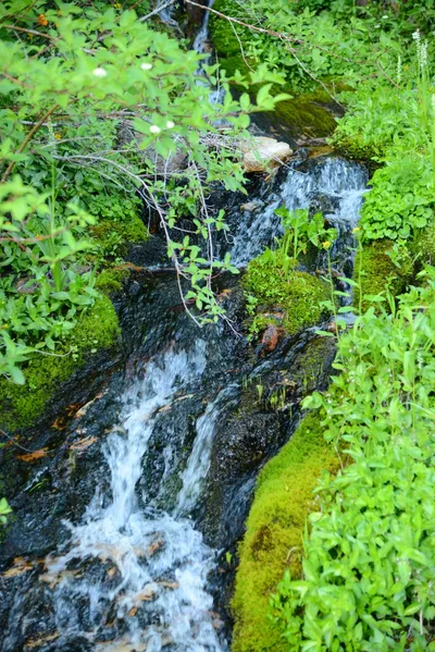 DSC_0088 (Large).JPG